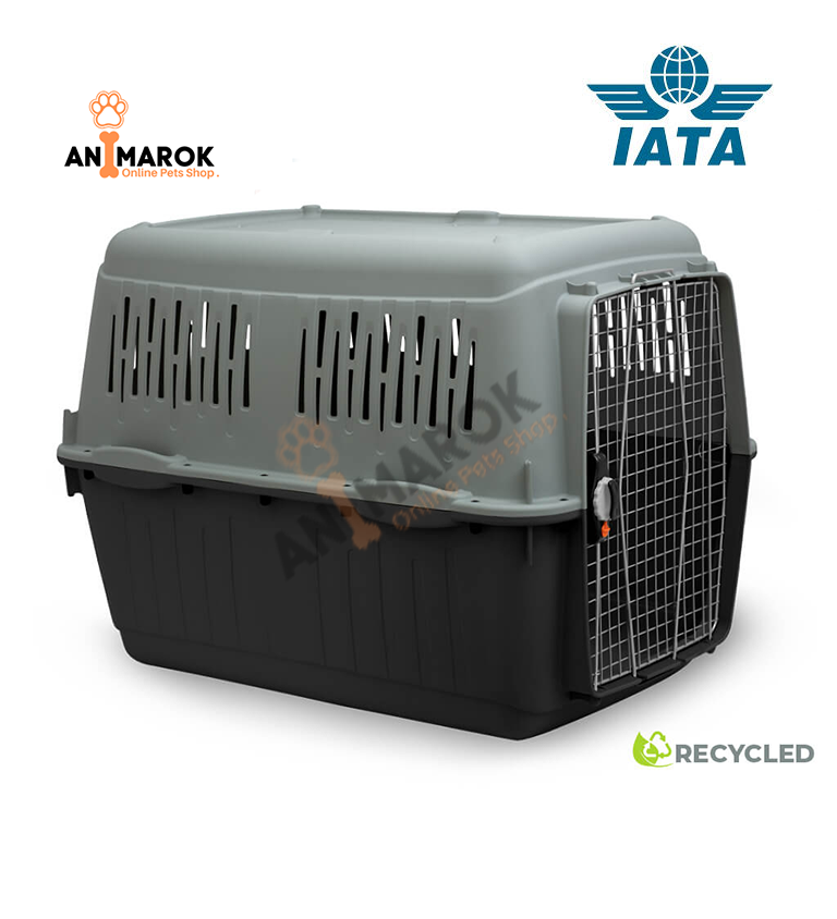 Cage de Transport MPBERGAMO KIT-IATA Tailles 6.7.8