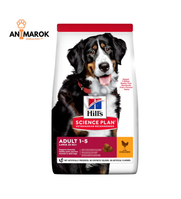 Hill’s Science Plan Large Breed Adult