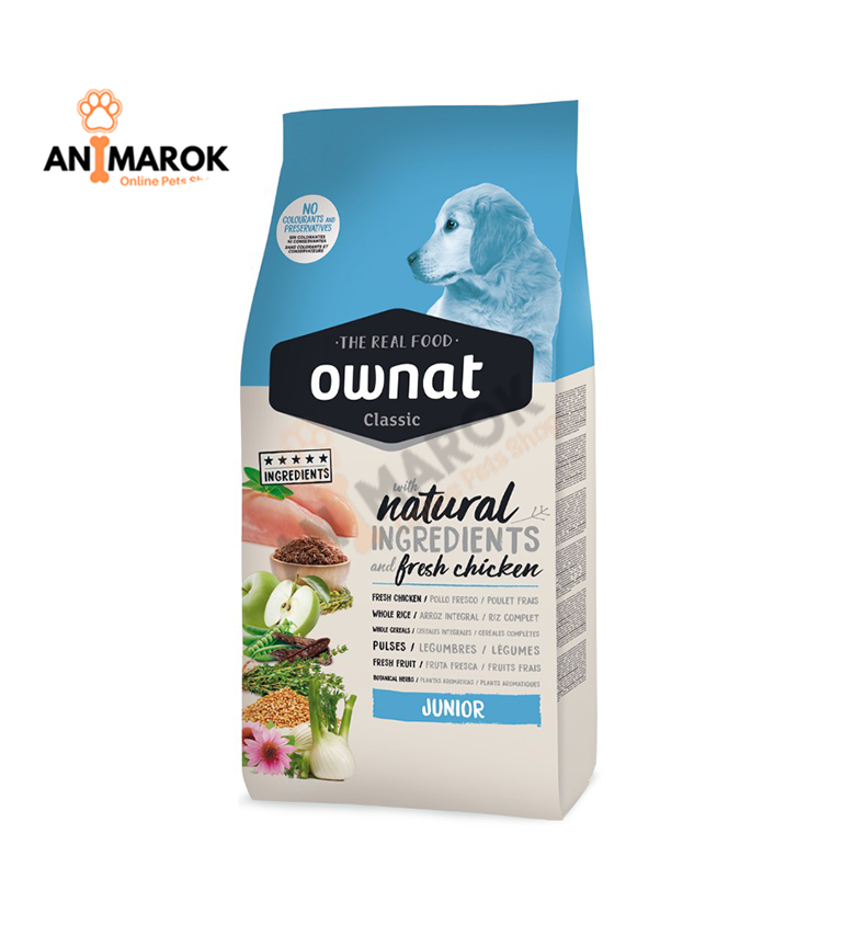 OWNAT CLASSIC JUNIOR DOG