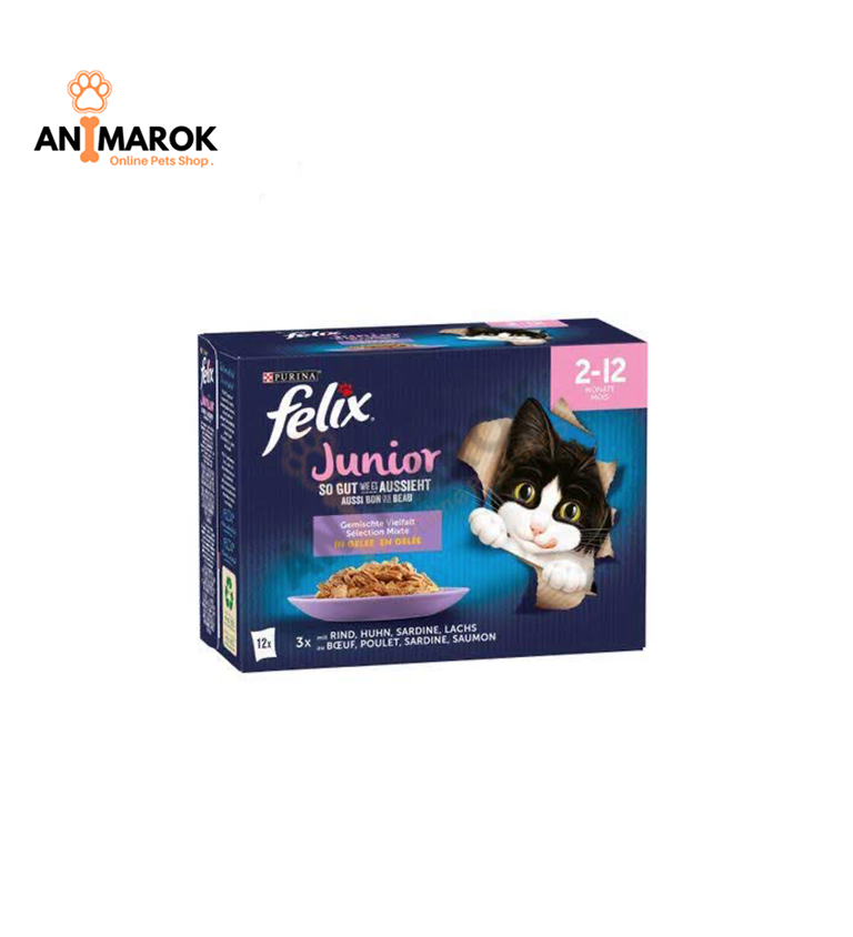 PURINA FELIX JUNIOR