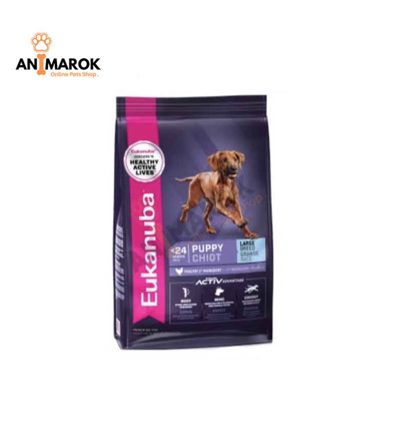 EUKANUBA LARGE PUPPY DOG